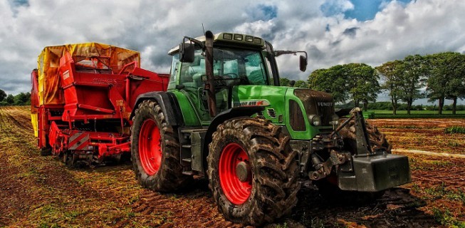 Zdrowa żywność to podstawa zdrowia